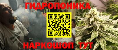 прущие грибы Славянск-на-Кубани