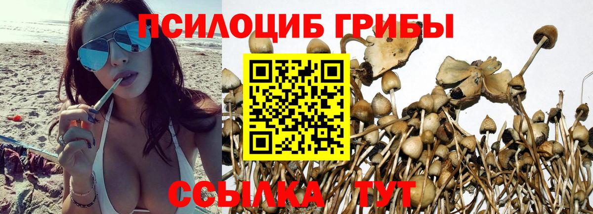 Галлюциногенные грибы GOLDEN TEACHER Нововоронеж
