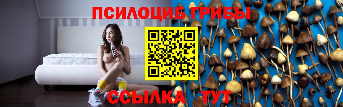 Нововоронеж  Псилоцибиновые грибы мухоморы  Псилоцибиновые грибы MAGIC MUSHROOMS  наркошоп  Вход с VPN 